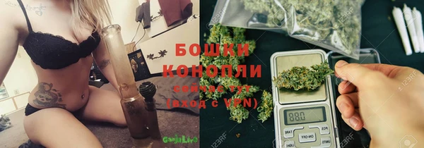 стафф Арсеньев