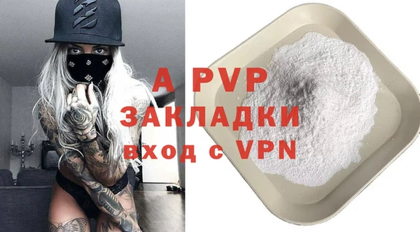 стафф Арсеньев